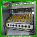 Fruchtsteinentfernungsmaschine / Samenentferner